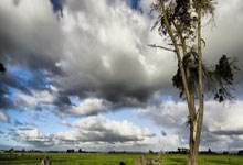 [NBA]肯里奇突分篮下 霍姆格伦双手送暴扣.