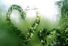 重回战神模式!小卡三节打卡轻取31分6板2助4断2帽 正负值+32.