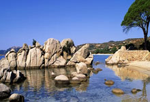 欧博官网:新加坡网球邀请杯与新加坡网球公开赛同时举行.